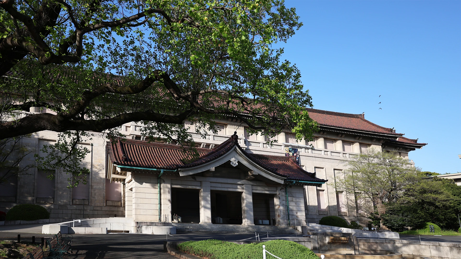 Tokyo National Museum  Free Admission Day 2
